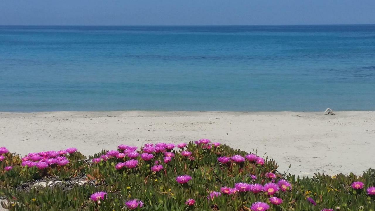 Apartmán Casa Azzurra San Foca Exteriér fotografie